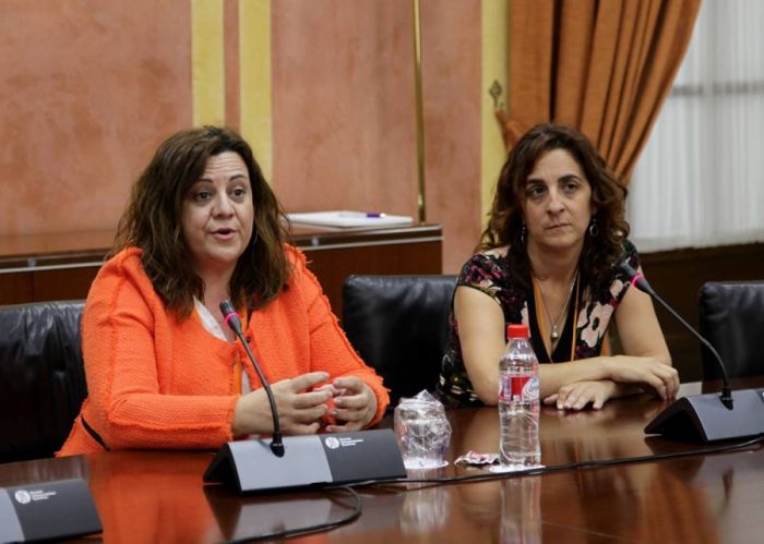 Comparecencia Parlamentaria del Consejo Andaluz de Trabajo Social sobre la Renta Básica