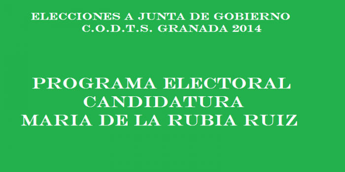 PROGRAMA ELECTORAL CANDIDATURA MARÍA DE LA RUBIA RUIZ