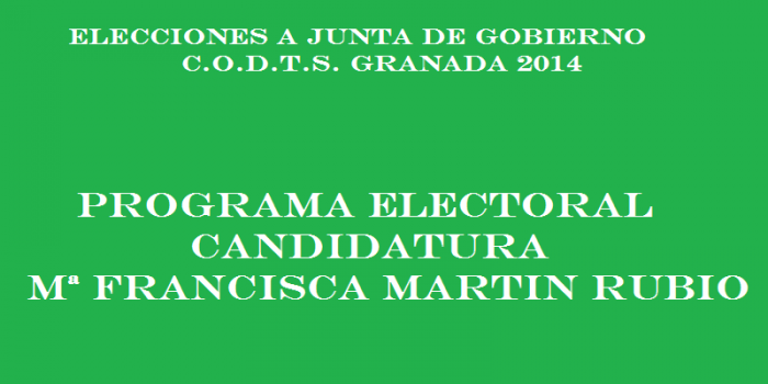 PROGRAMA ELECTORAL CANDIDATURA Mª FRANCISCA MARTÍN RUBIO
