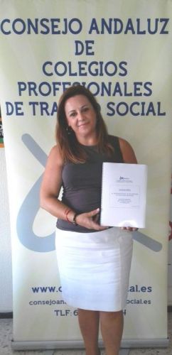 El Consejo Andaluz presenta a la Junta de Andalucía las alegaciones al Anteproyecto de Ley de Servicios Sociales.