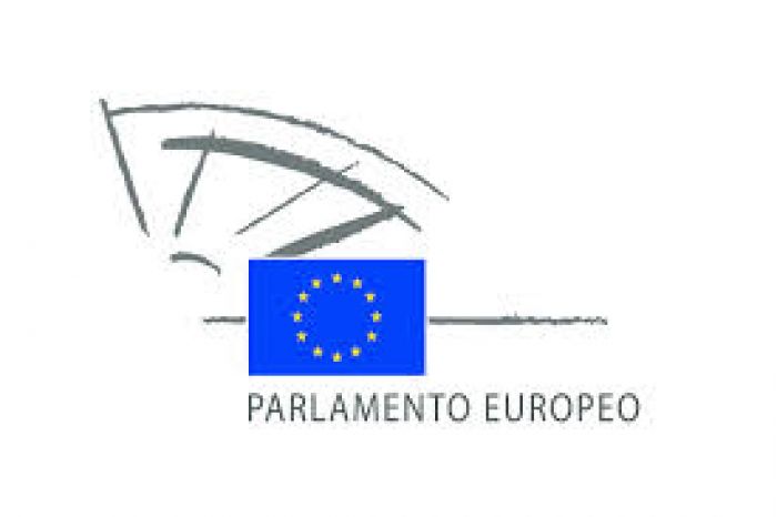 El Colegio presenta el II Informe Técnico de Trabajo Social y SAAD en el Parlamento Europeo