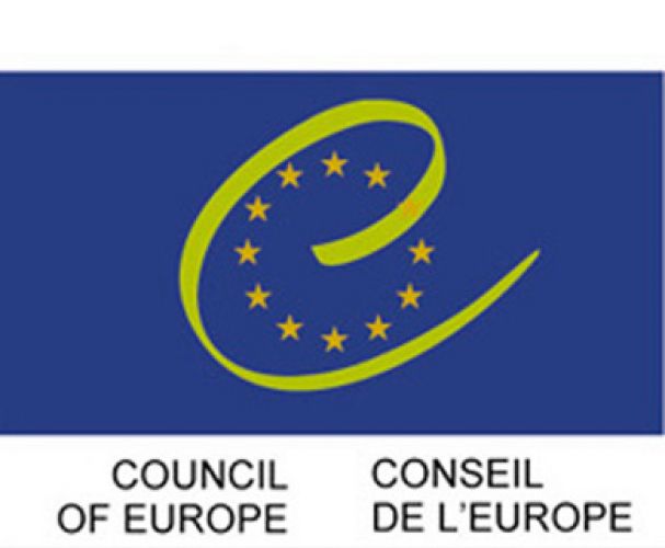 Recomendaciones del Comité de Ministros a los países miembros sobre los trabajadores sociales (adoptado por el Comité de Ministros el 17 de enero de 2001 en el 737 encuentro)