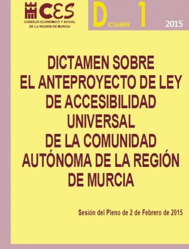 El CES critica que no se haya contado con el Colegio para la futura Ley de Accesibilidad