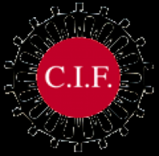 Programa de Intercambio Internacional Trabajadores Sociales - CIF Spain 2016/2017