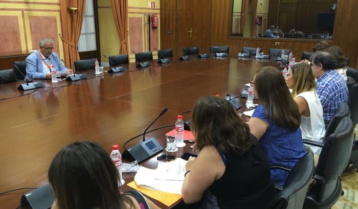 El Consejo comparece en el Parlamento andaluz para trasladar su posicionamiento sobre el proyecto de Ley de Servicios Sociales de Andalucía