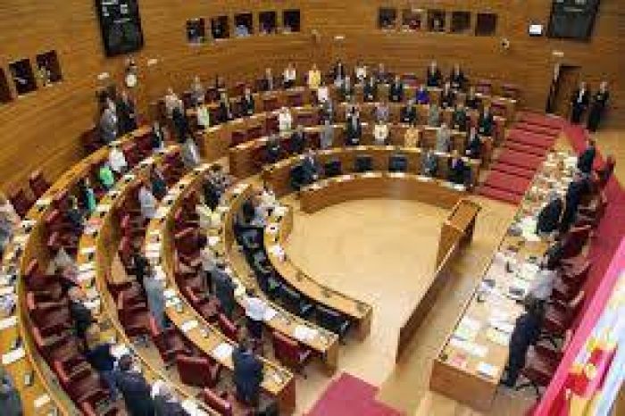 Les Corts respaldan por unanimidad extender la incorporación de profesionales del Trabajo Social a todos los equipos sanitarios