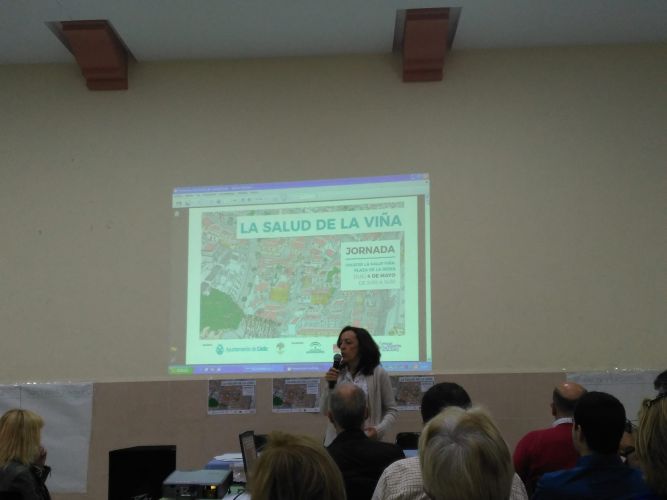 Jornada de Participación "La Salud en La Viña"