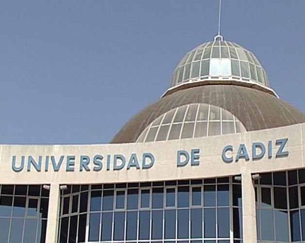 Presentamos el informe de situación del Grado en Trabajo Social en la Universidad de Cádiz
