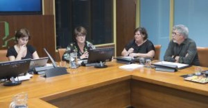 Comparecencia de los Colegios de Trabajo Social de la CAPV en Parlamento Vasco (Reforma RGI)