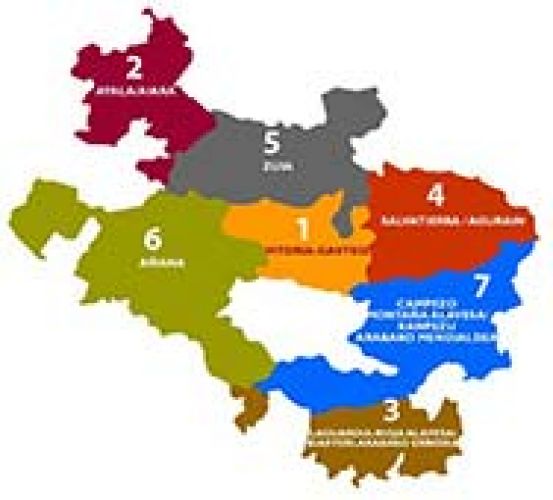 ESTUDIO: MAPA DE PROFESIONALES DEL TRABAJO SOCIAL DE ALAVA