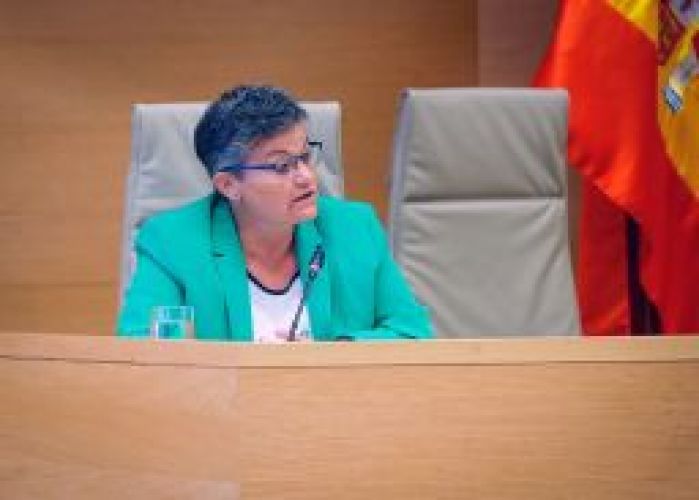 Emiliana Vicente, presidenta del Consejo General, comparecen en la Comisión para la Reconstrucción Social y Económica