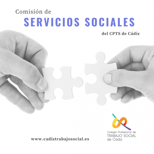 Participa de la Comisión de Servicios Sociales del CPTS de Cádiz