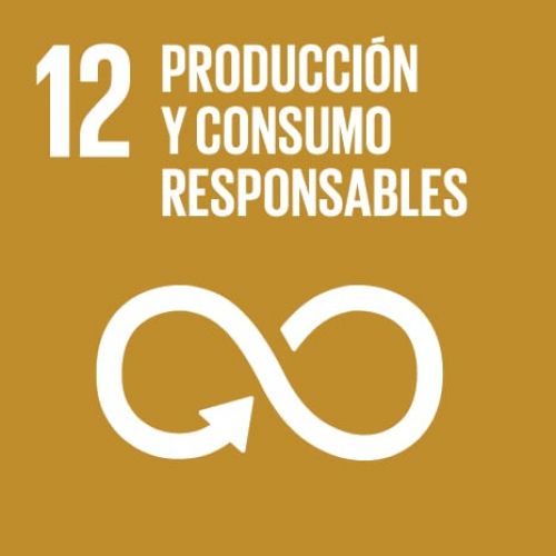 INICIATIVA DE APOYO AL COMERCIO LOCAL, EMPRESAS DE ECONOMÍA SOCIAL Y CULTURA DEL COTS DE GRANADA