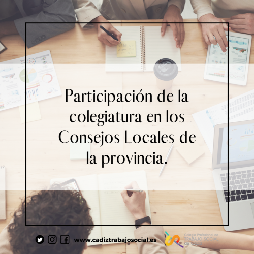 Participación de la colegiatura en los Consejos Locales de la provincia