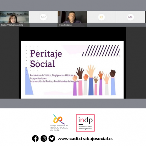 Celebrada la Webinar de Peritaje Social a cargo del Instituto Nacional de Peritaje Social.
