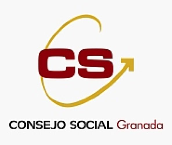El Colegio acude a la convocatoria del Consejo Social de Granada