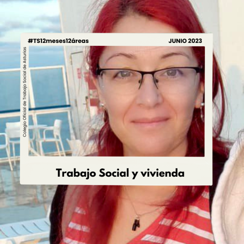 12 meses 12 áreas