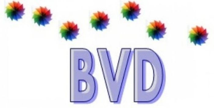 Curso Baremo Valoración Dependencia