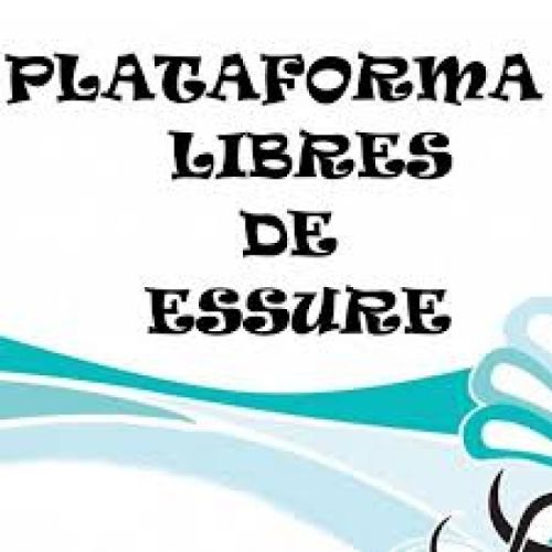 ENCUENTRO. Reunión de la Plataforma Libres de Essure con colectivos y profesionales del ámbitos social en Zamora