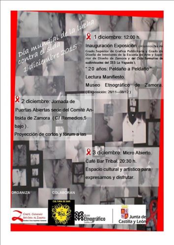 DÍA MUNDIAL DE LA LUCHA CONTRA EL SIDA, ZAMORA