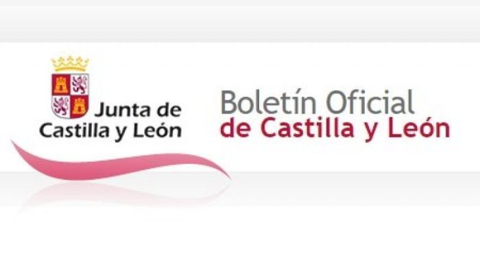 La Junta de Castilla y León convoca proceso selectivo de trabajadores sociales.