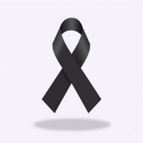 NUESTRO COLEGIO. El COTSSAZA se suma a los diez días de luto decretados por el Gobierno.