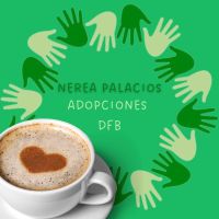 LAUGARREN KAFE SOZIALA / CUARTO CAFÉ SOCIAL
