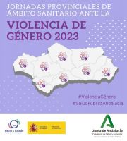 Jornadas Provinciales sobre Violencia de Género organizadas por la Consejería de Salud y Consumo