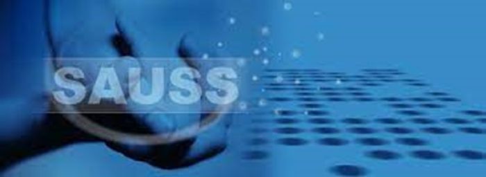 Curso SAUSS (Sistema de acceso unificado a los Servicios Sociales en Castilla y León