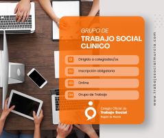 II Reunión Grupo de Trabajo Social Clínico - lunes 17 de marzo de 17:00 a 18:30h