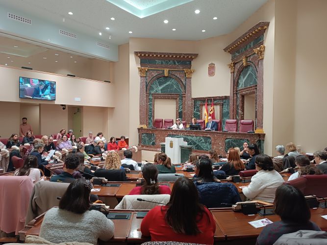 El Colegio asiste a la primera Asamblea Regional de Mujeres con Discapacidad