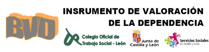Curso Baremo Valoración Dependencia (BVD)