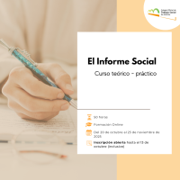 El Informe Social: curso teórico-práctico